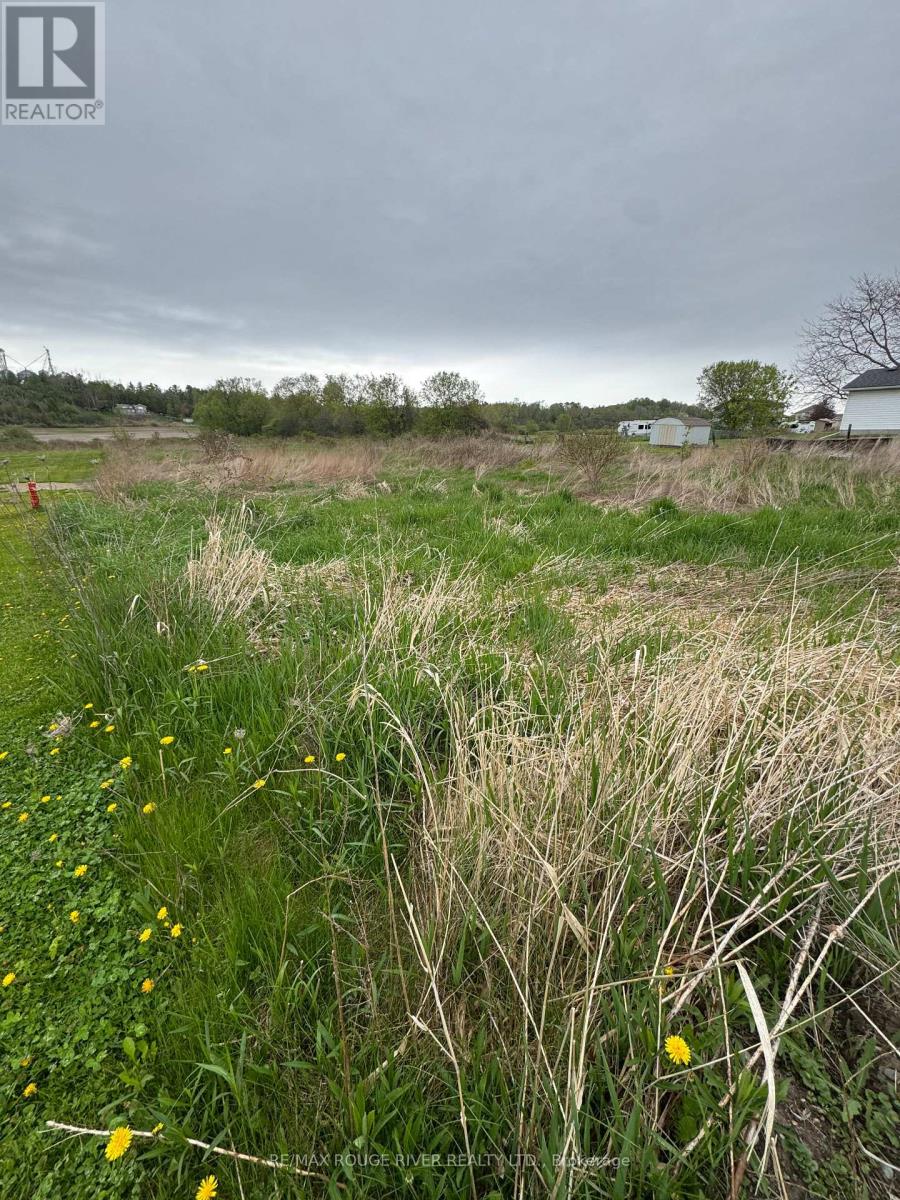 Hwy 2 Part Lot 14, Con A Highway, Alnwick/haldimand, Ontario  K0K 2G0 - Photo 8 - X12149220