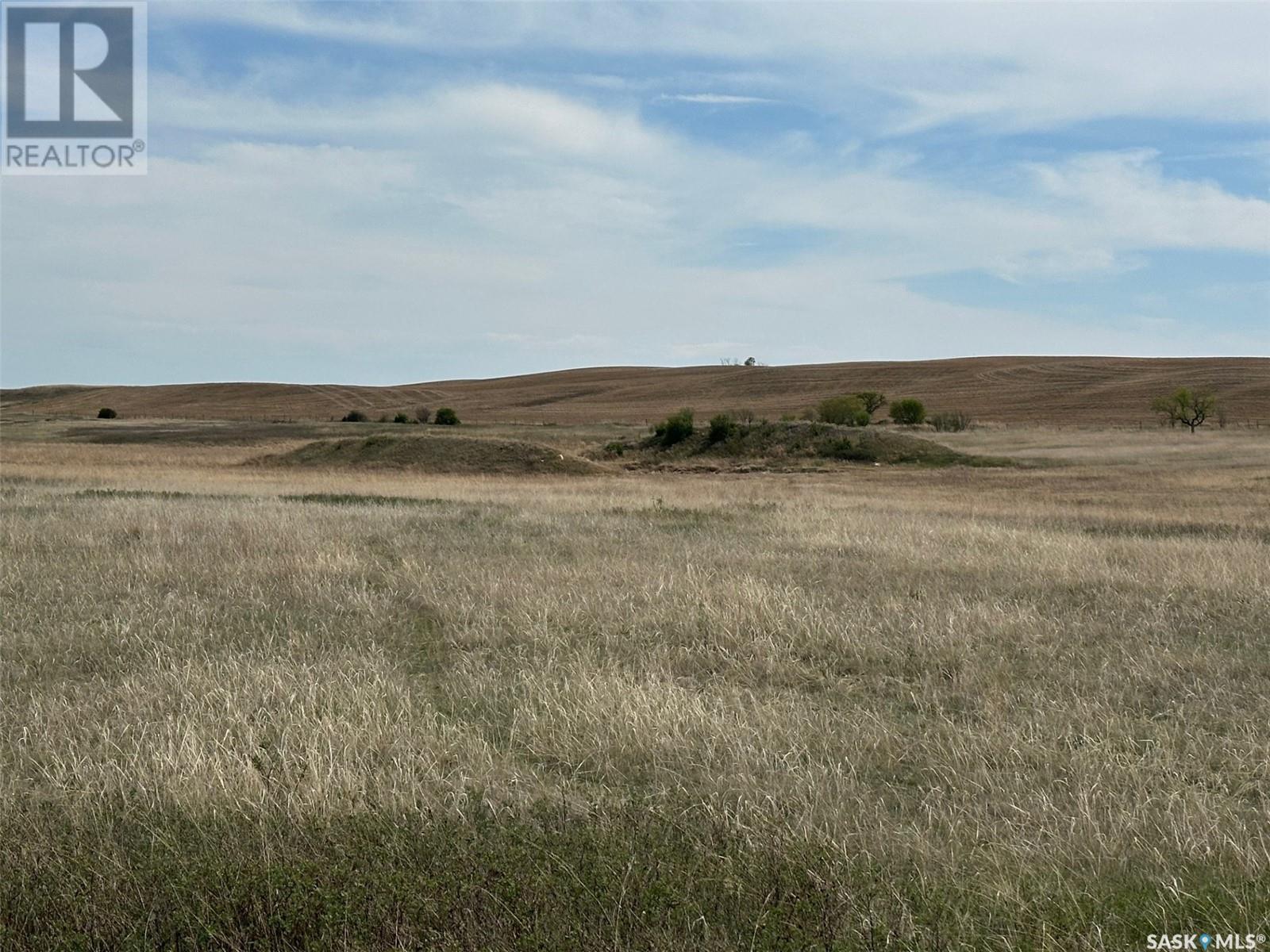 Chamberlain Pasture, Craik Rm No. 222, Saskatchewan  S0G 0B0 - Photo 8 - SK005516