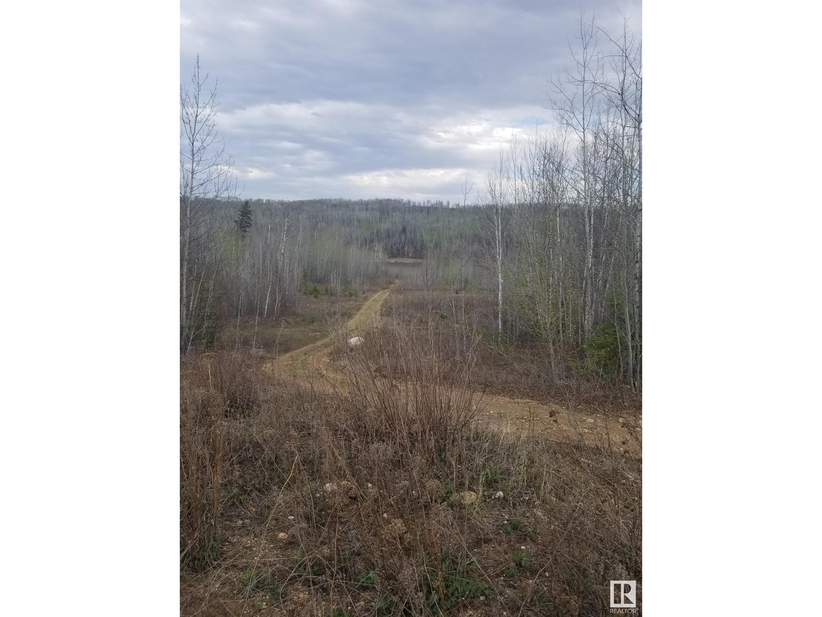 5 221048 Twp Rd 670, Rural Athabasca County, Alberta  T9S 1C3 - Photo 8 - E4436475