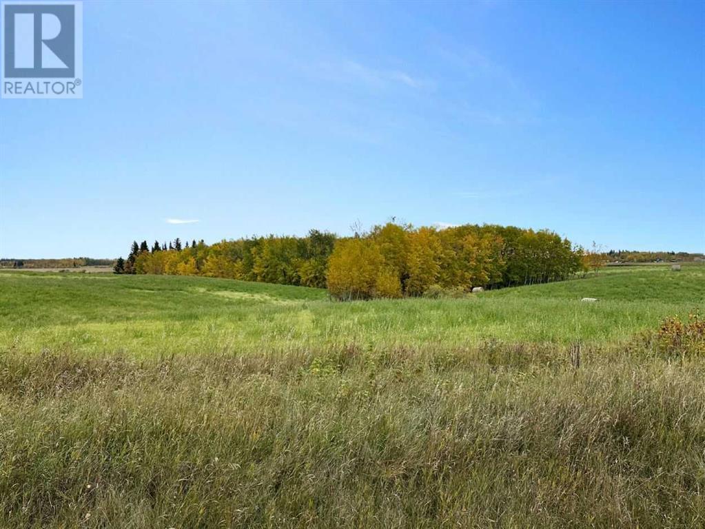 Range Road 91, Rural Lac Ste. Anne County, Alberta  T0E 1N0 - Photo 4 - A2219929