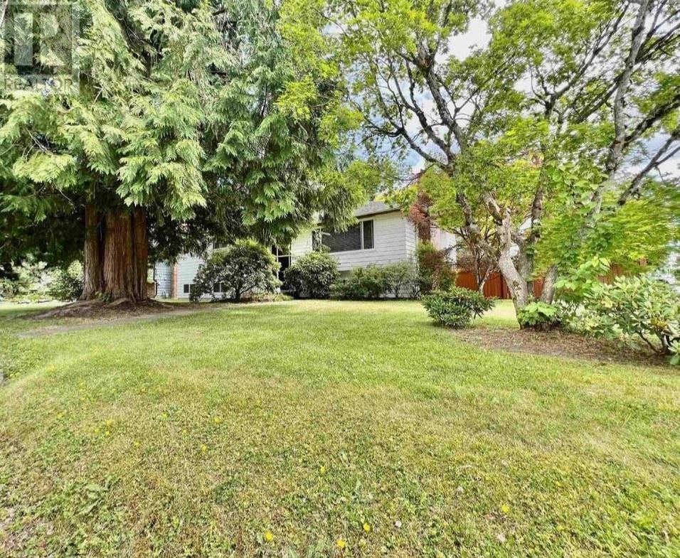 22062 123 Avenue, Maple Ridge, British Columbia  V2X 4C6 - Photo 10 - R2994255