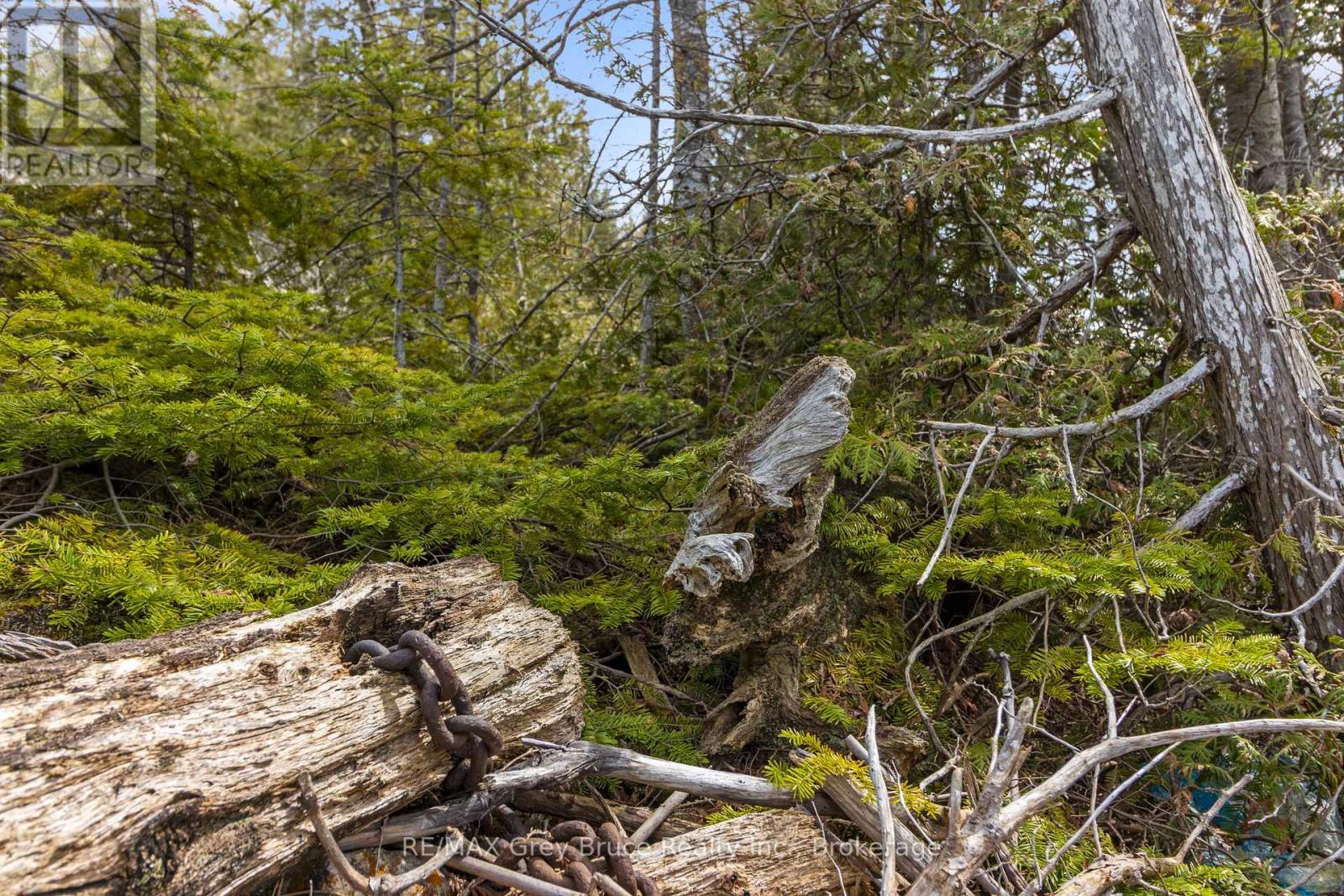 Lot 47 Greenough Pt Road, Northern Bruce Peninsula, Ontario  N0H 1Z0 - Photo 20 - X12149552