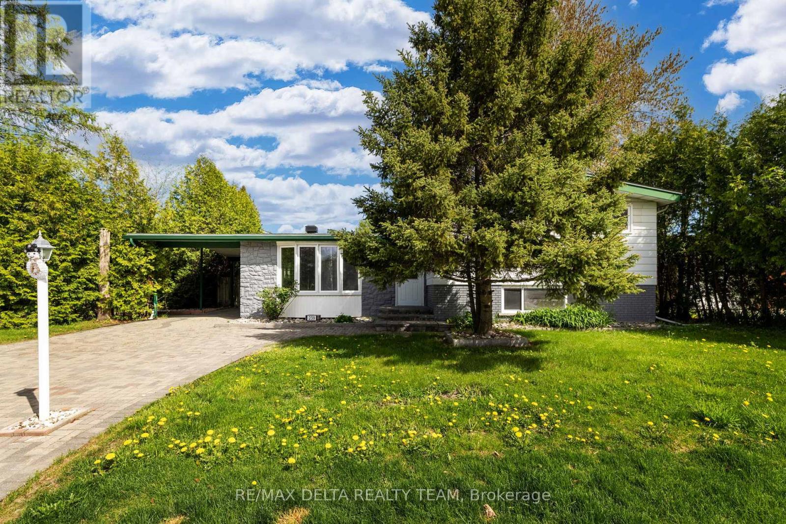 Property at 239 TOMPKINS AVENUE image 1
