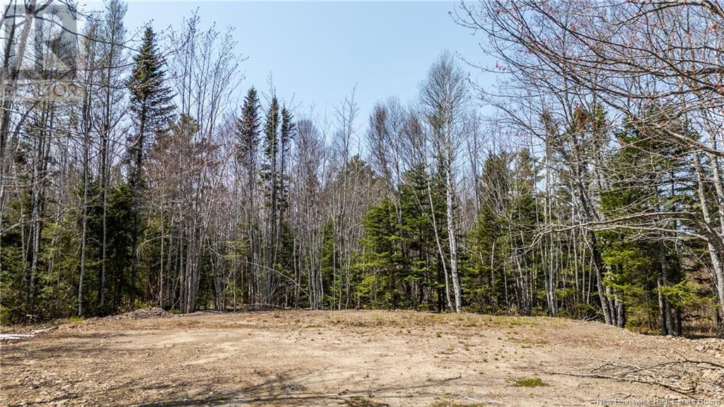 1387 Bells Mills Road, Richibouctou-Village, New Brunswick  E4W 5N9 - Photo 23 - NB118548