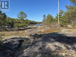 1522 Georgian Bay Water Island, The Archipelago, Ontario  P0G 1K0 - Photo 11 - X12149776