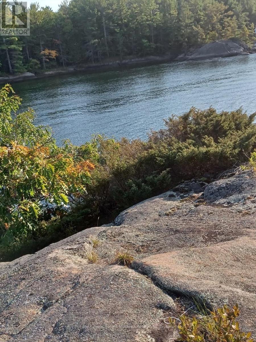 1522 Georgian Bay Water Island, The Archipelago, Ontario  P0G 1K0 - Photo 45 - X12149776
