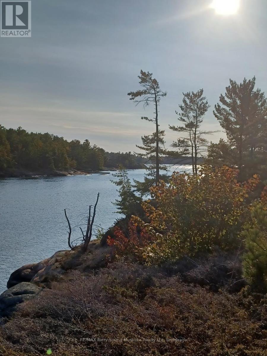 1522 Georgian Bay Water Island, The Archipelago, Ontario  P0G 1K0 - Photo 47 - X12149776