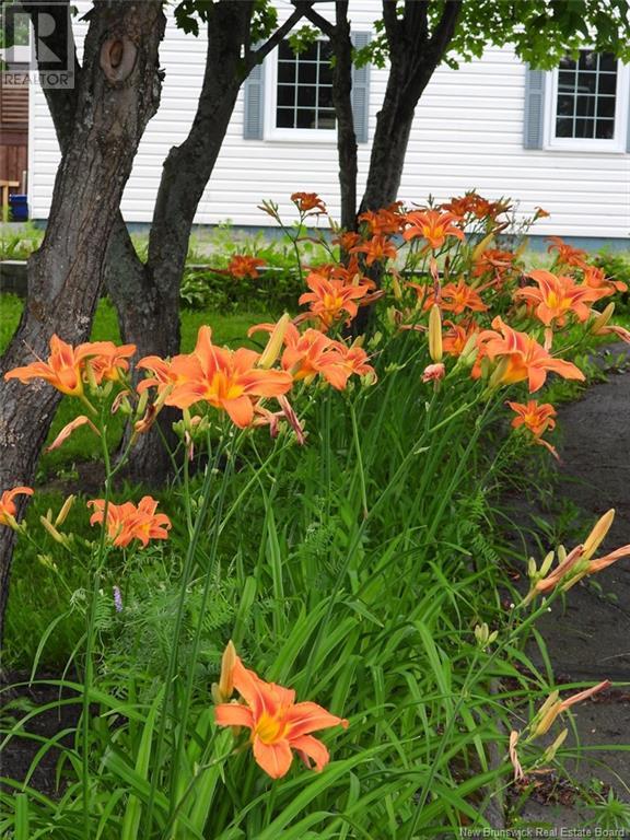 27 Léopold-Couturier Street, Saint-Jacques, New Brunswick  E7B 1E3 - Photo 29 - NB114793