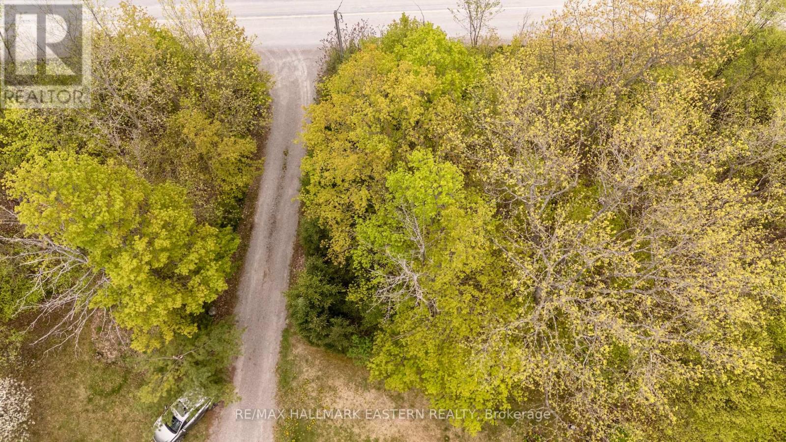 28 Woodlawn Drive, Trent Hills, Ontario  K0L 1Y0 - Photo 41 - X12150043