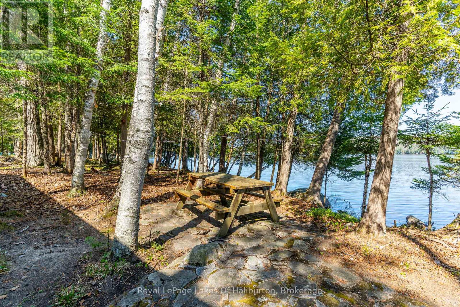 1096 Reg's Trail, Dysart Et Al (Dudley), Ontario  K0M 1S0 - Photo 12 - X12150052