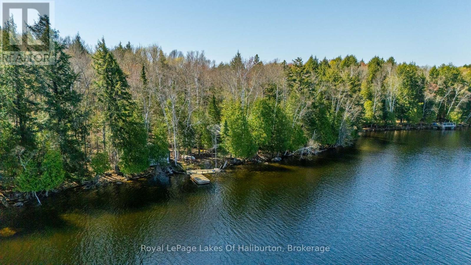 1096 Reg's Trail, Dysart Et Al (Dudley), Ontario  K0M 1S0 - Photo 8 - X12150052