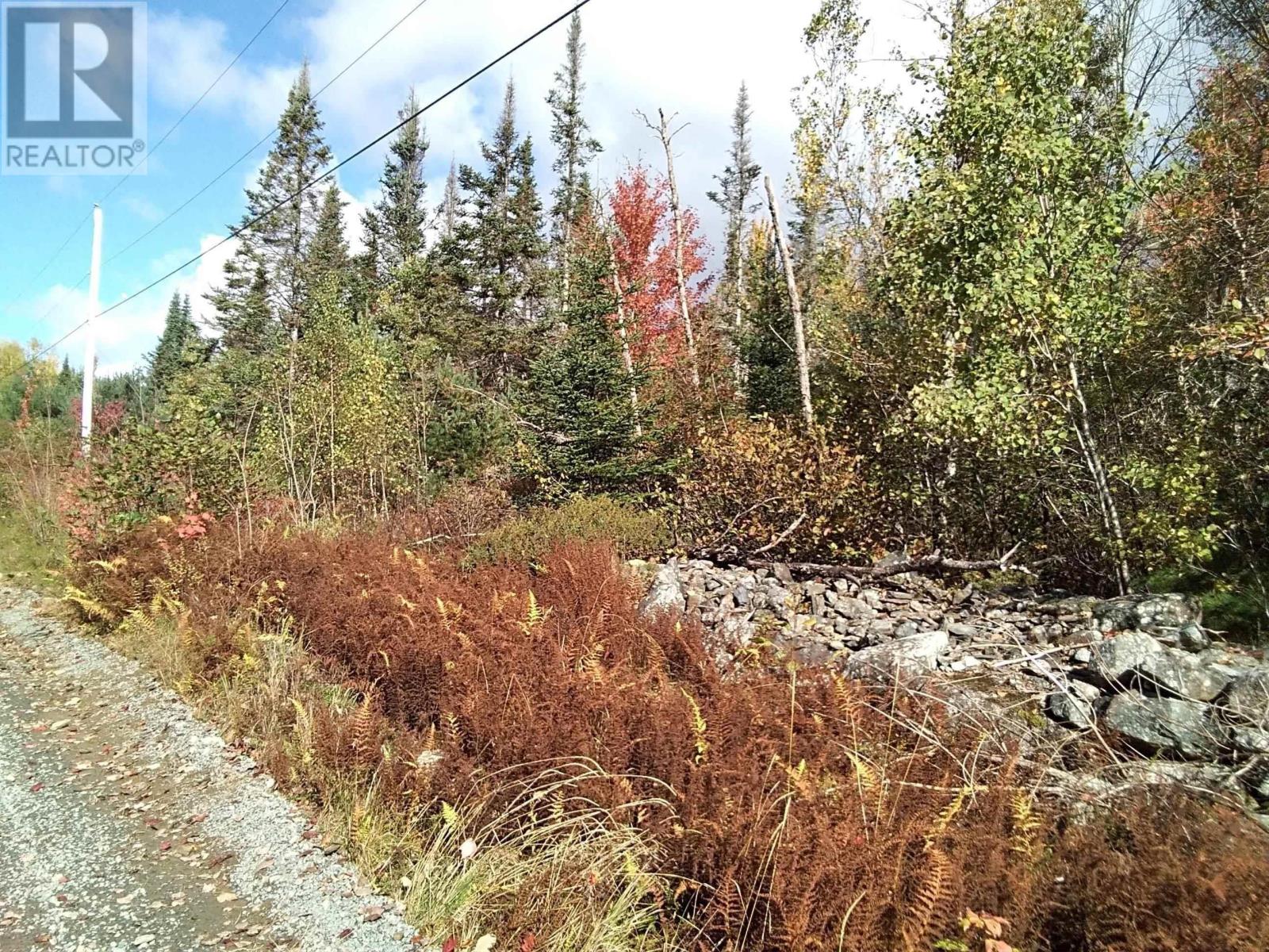 East Clifford Road, East Clifford, Nova Scotia  B4V 1Y7 - Photo 2 - 202510725