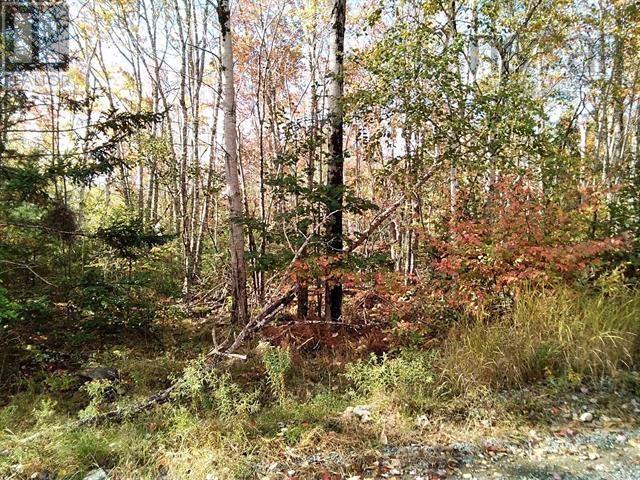 East Clifford Road, East Clifford, Nova Scotia  B4V 1Y7 - Photo 3 - 202510725
