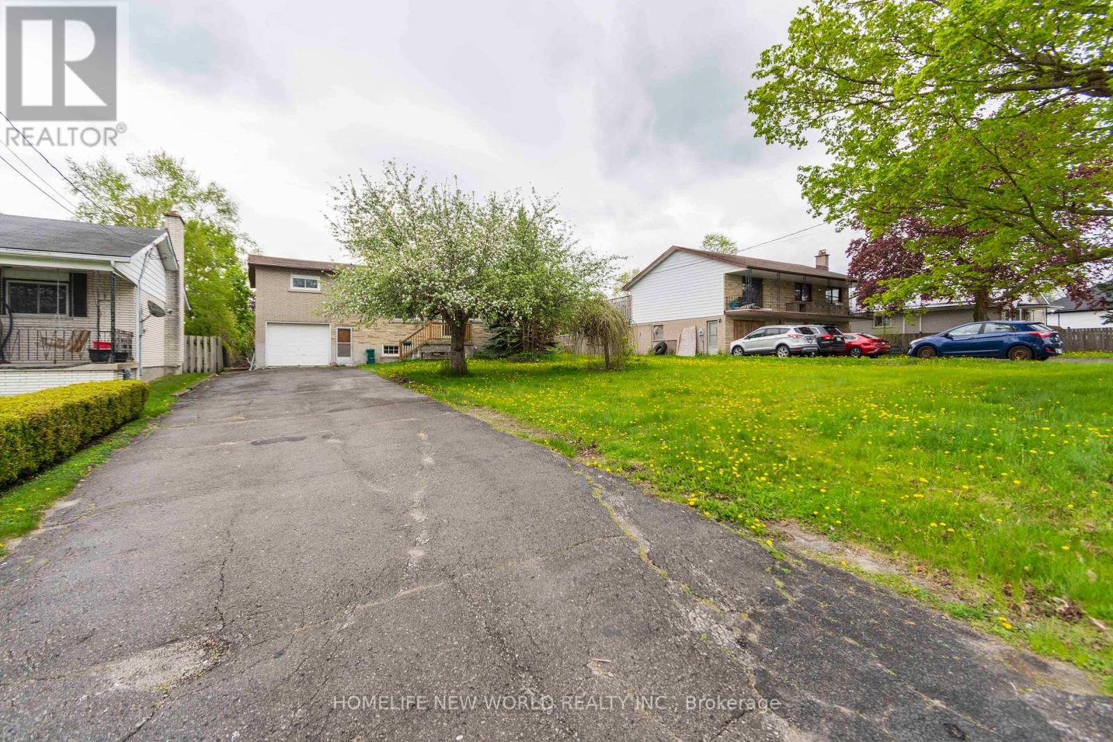 Property at 41 ALFRED STREET image 4