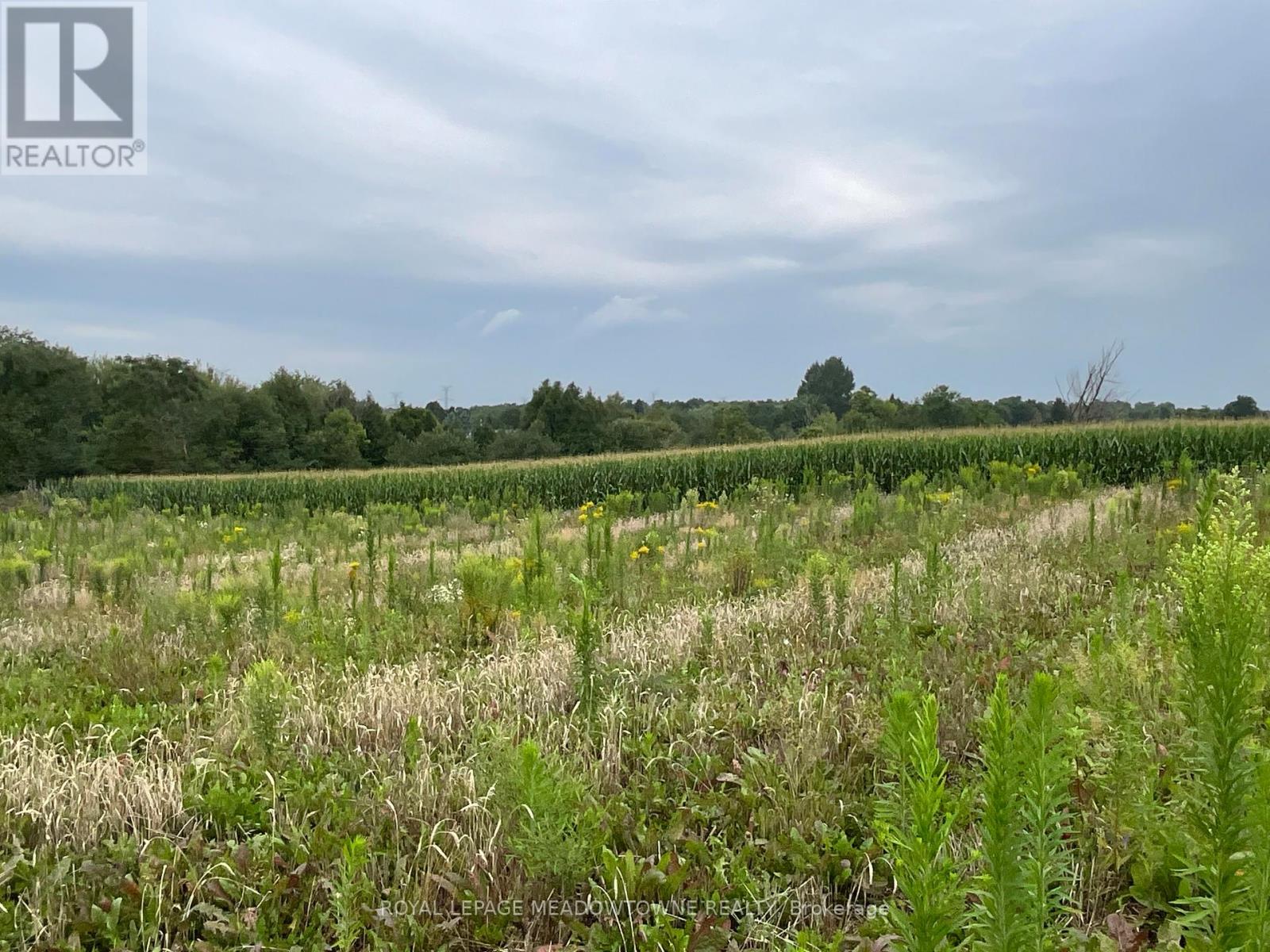 5145 Fifth Line, Erin, Ontario  N0B 1T0 - Photo 10 - X12069508