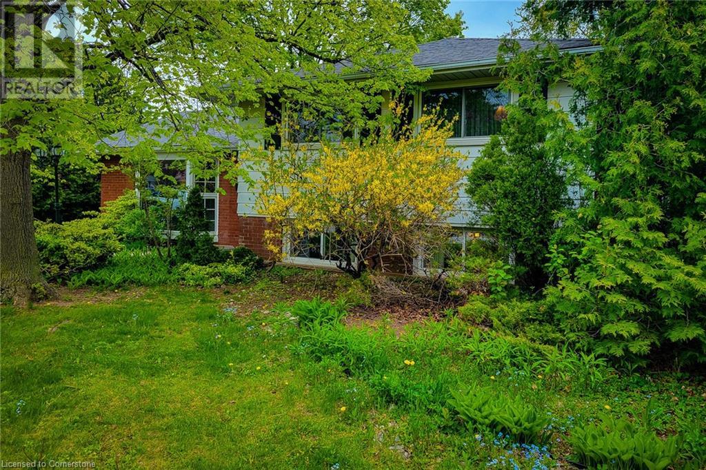 Property at 5322 WINDERMERE Drive image 4