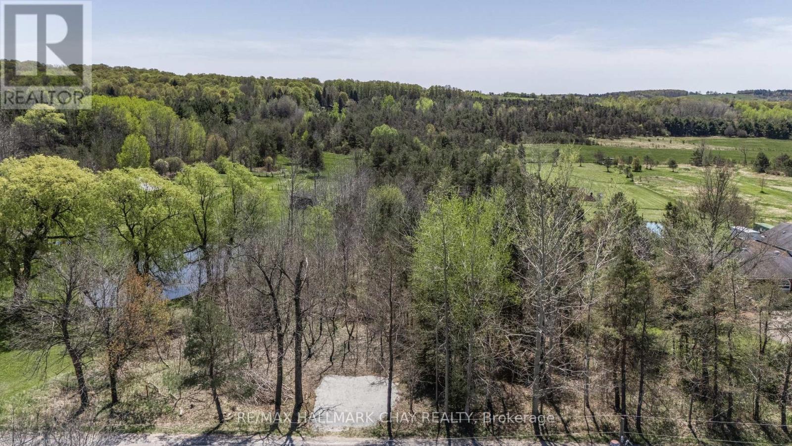 5945 4th Line, New Tecumseth, Ontario  L0G 1W0 - Photo 13 - N12150071