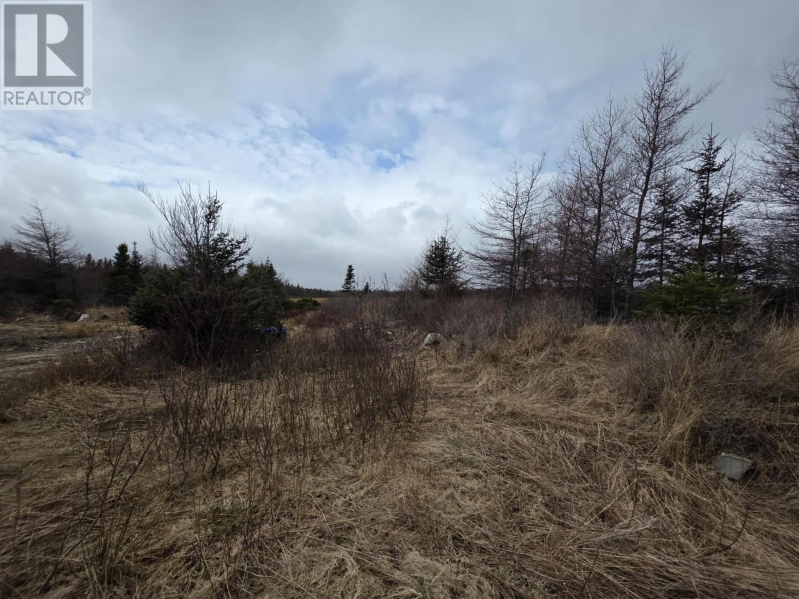 90 Mobile First Pond Road, Mobile, Newfoundland & Labrador  A0A 3A0 - Photo 10 - 1285043