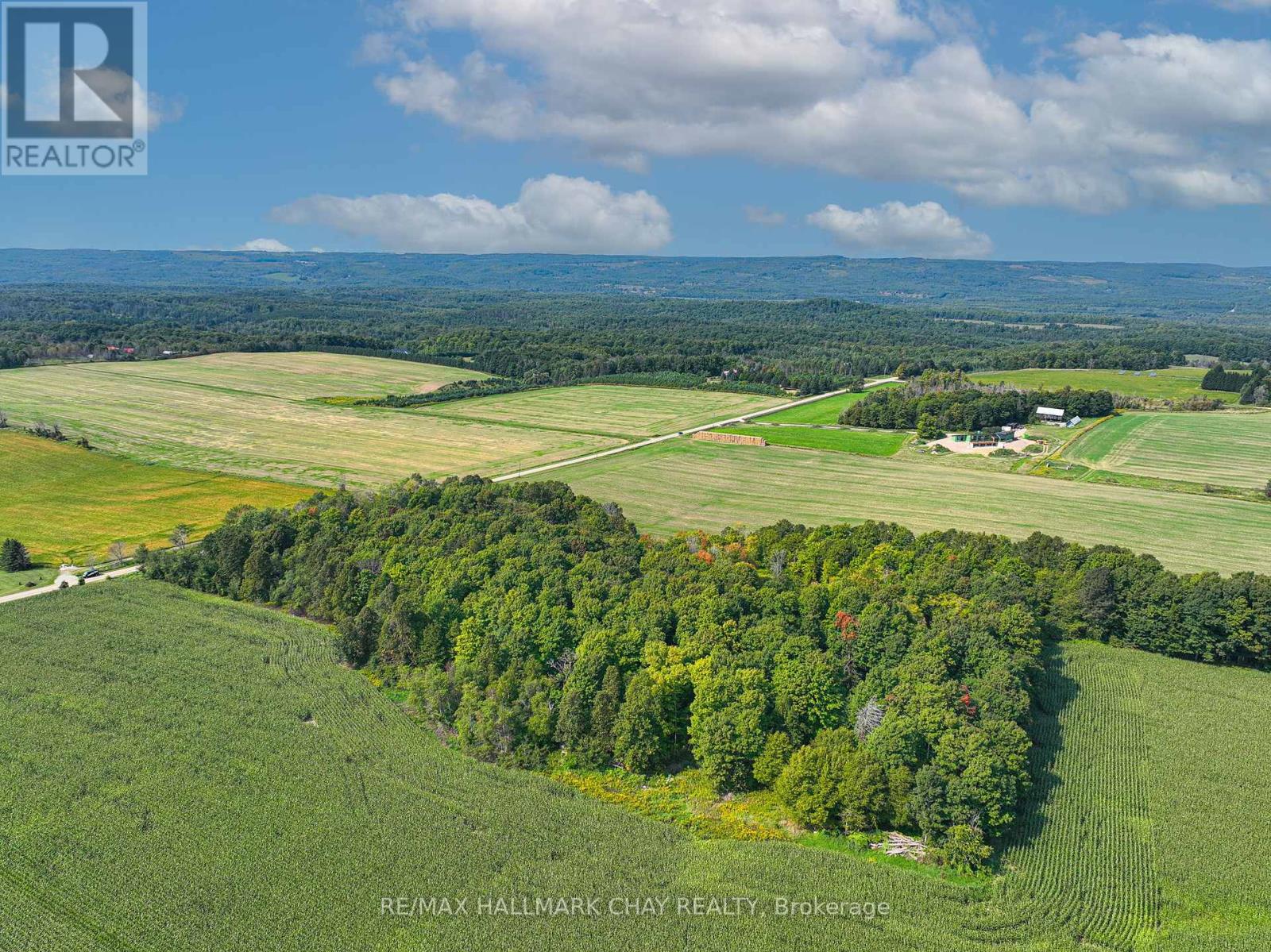 837251 4th Line, Mulmur, Ontario  L9V 0J1 - Photo 10 - X12150222