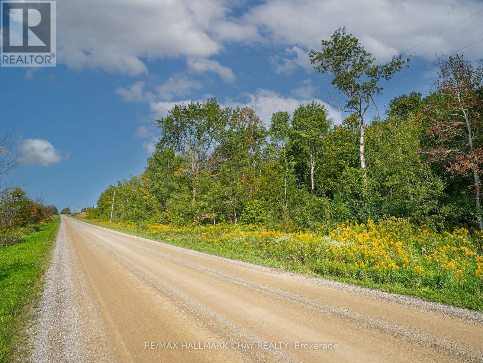 837251 4th Line, Mulmur, Ontario  L9V 0J1 - Photo 11 - X12150222