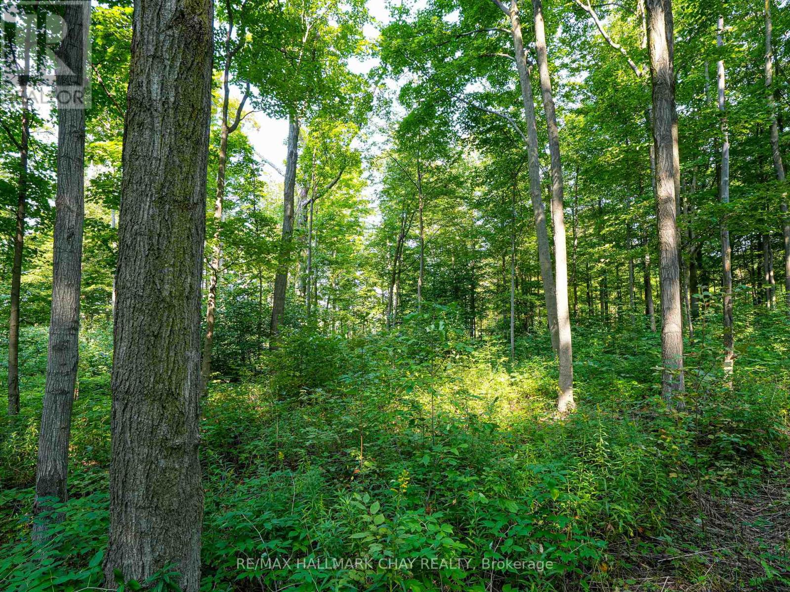 837251 4th Line, Mulmur, Ontario  L9V 0J1 - Photo 16 - X12150222
