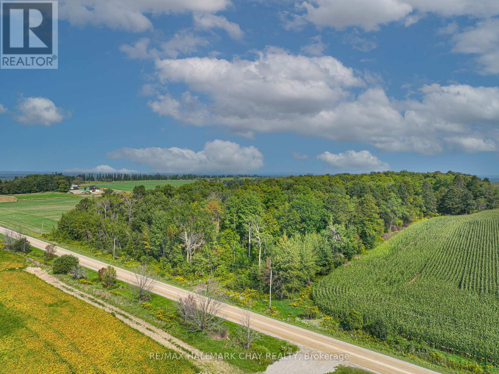 837251 4th Line, Mulmur, Ontario  L9V 0J1 - Photo 4 - X12150222