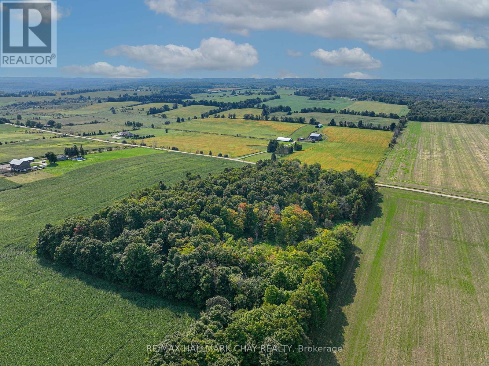 837251 4th Line, Mulmur, Ontario  L9V 0J1 - Photo 7 - X12150222