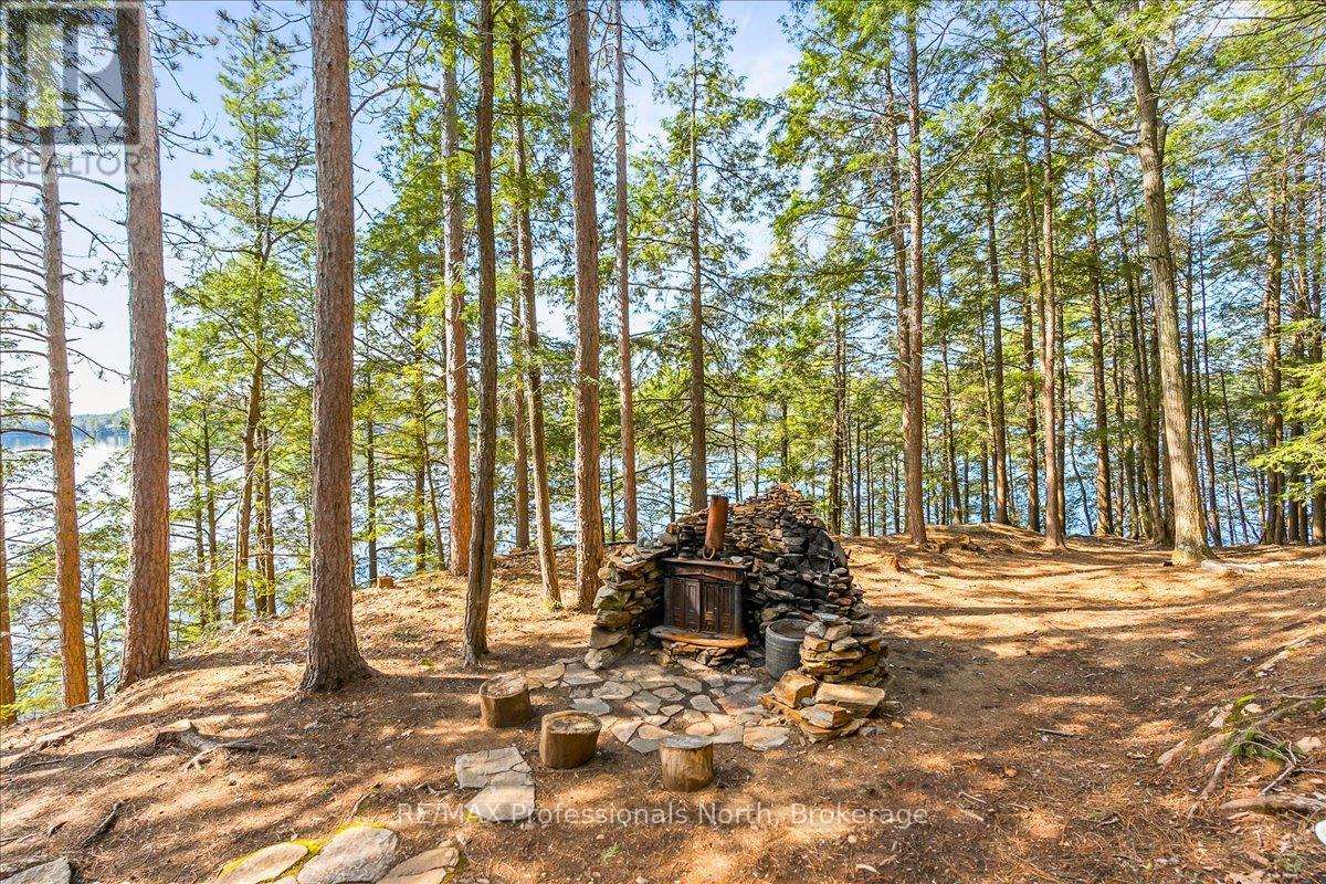12865 Little Hawk South Sh, Algonquin Highlands, Ontario  K0M 1J1 - Photo 24 - X12150335