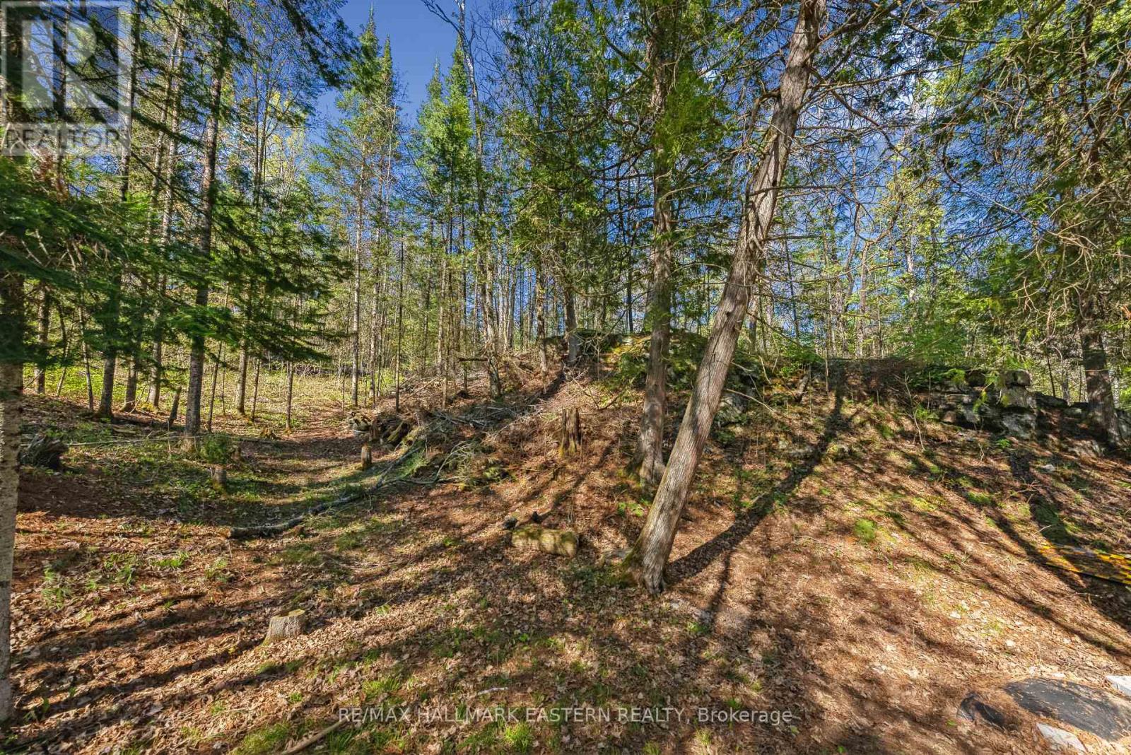 1025 Dickies Lane, Highlands East, Ontario  K0M 1R0 - Photo 33 - X12150441