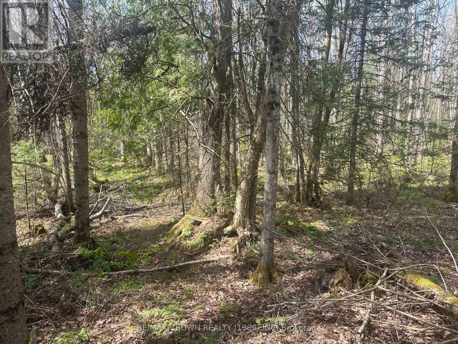 Lt 17 Con 13 Richards Road, Mattawa, Ontario  P0H 1V0 - Photo 14 - X12150657