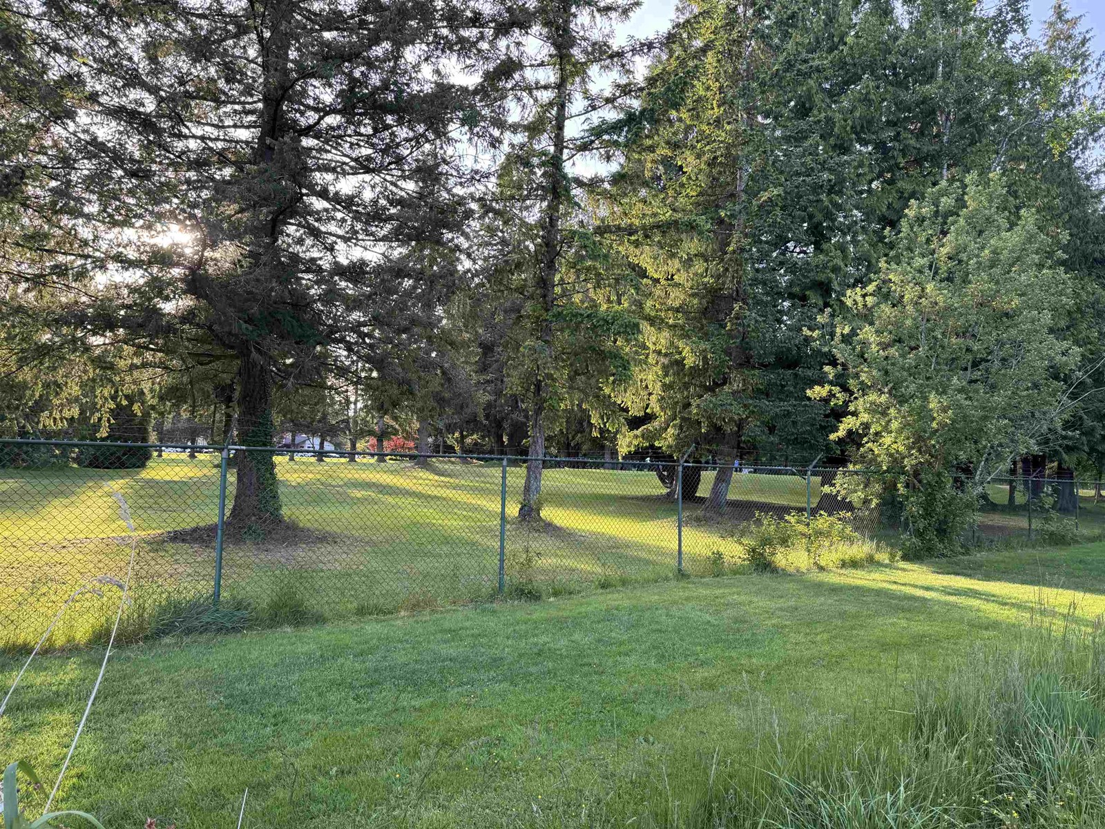 Property at 17106 3A AVENUE image 2