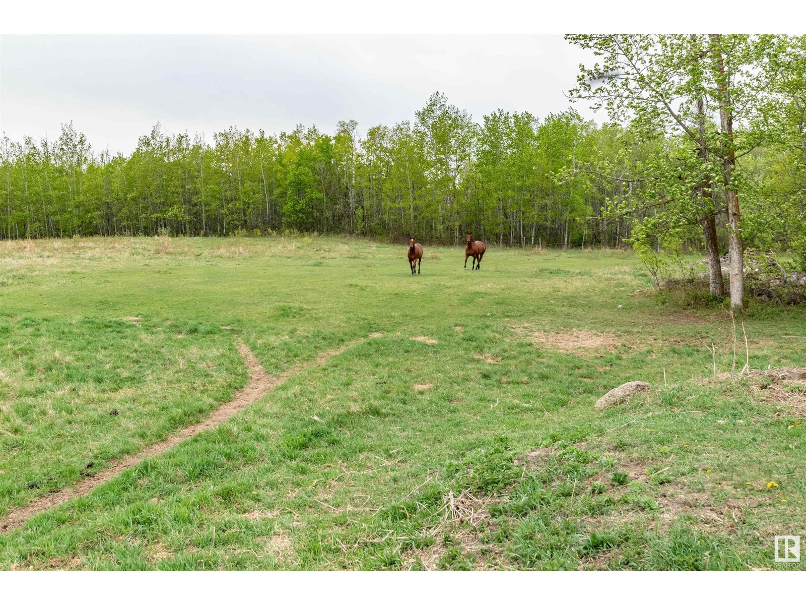 #97 51331 Rge Road 224, Rural Strathcona County, Alberta  T8C 1H3 - Photo 35 - E4436589