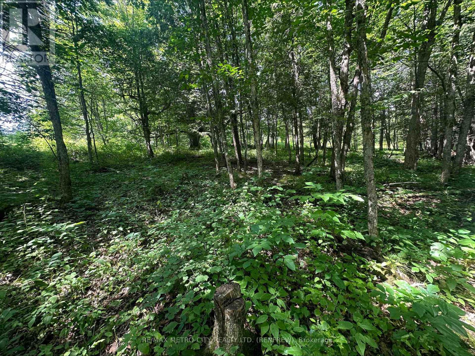 0 Mount St Patrick Road, Admaston/bromley, Ontario  K0J 1N0 - Photo 10 - X12150933