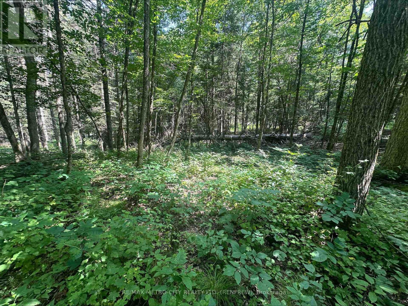 0 Mount St Patrick Road, Admaston/bromley, Ontario  K0J 1N0 - Photo 11 - X12150933