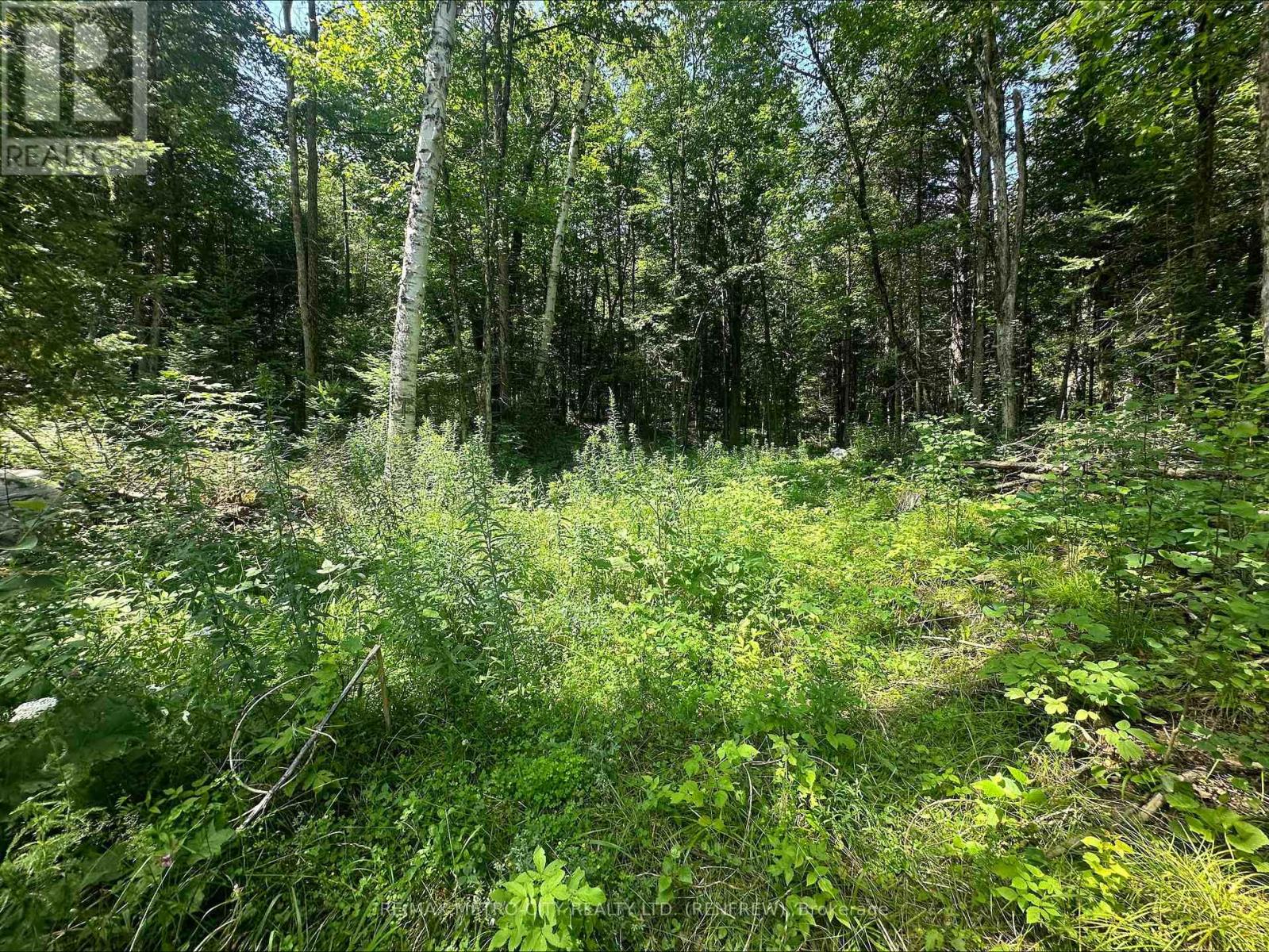 0 Mount St Patrick Road, Admaston/bromley, Ontario  K0J 1N0 - Photo 12 - X12150933