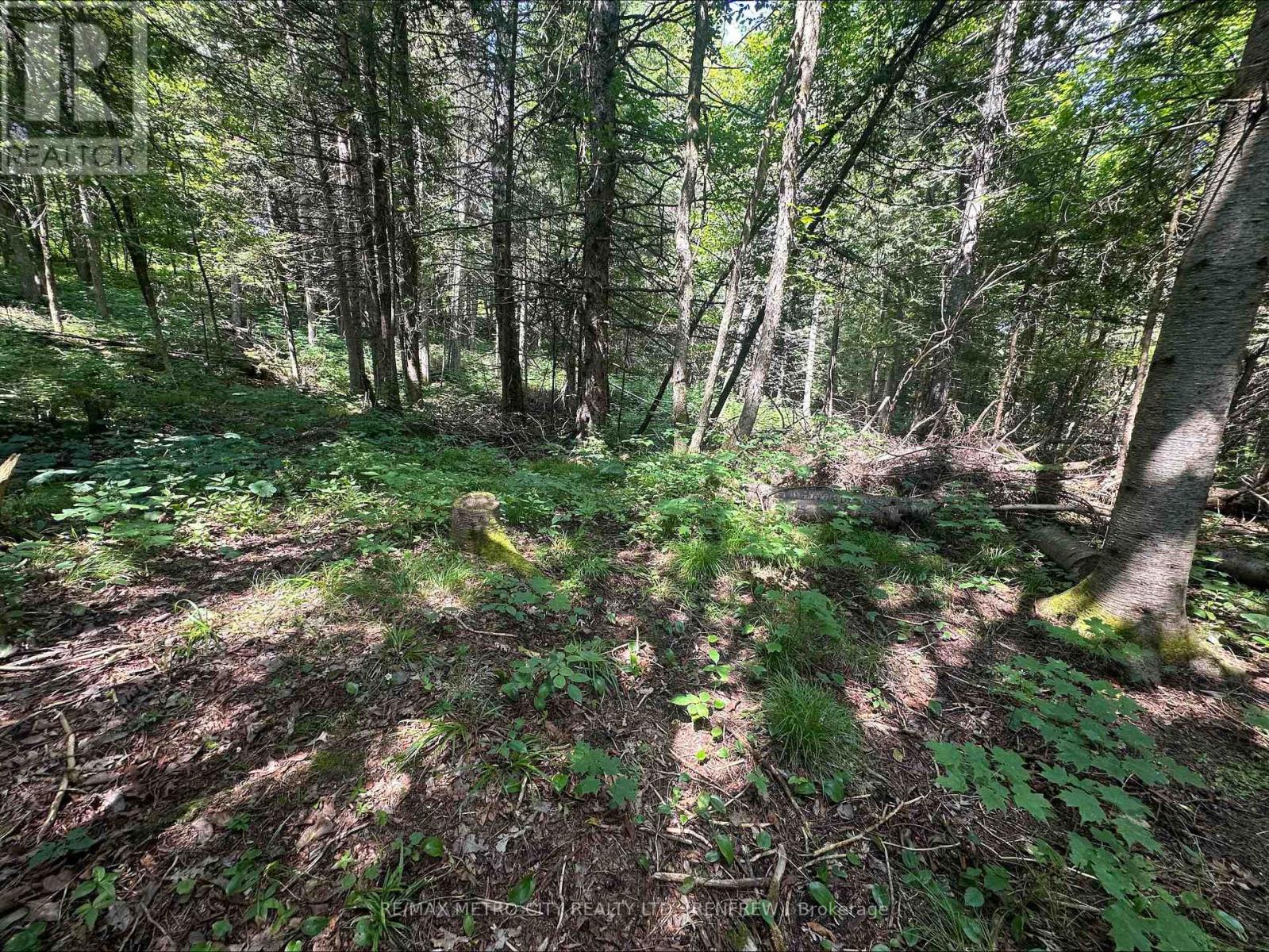 0 Mount St Patrick Road, Admaston/bromley, Ontario  K0J 1N0 - Photo 13 - X12150933