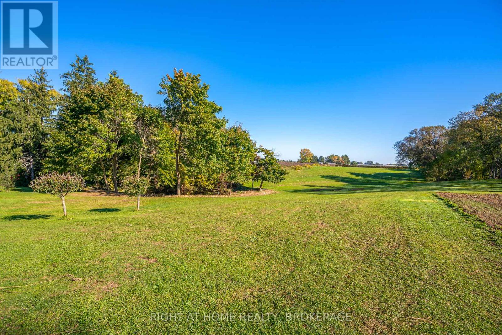 Property at 1353 MCNAB ROAD image 4