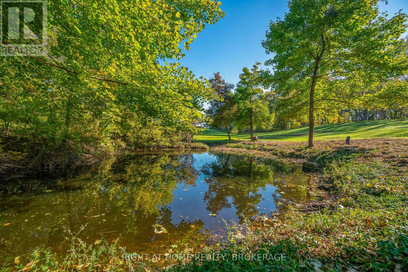 1353 Mcnab Road, Niagara-On-The-Lake, Ontario  L0S 1J0 - Photo 7 - X12150910