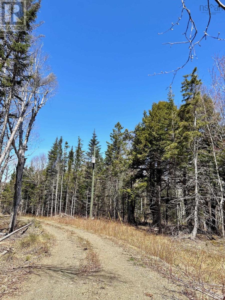 Lot 1e Marble Mountain Road, Malagawatch, Nova Scotia  B0E 2Y0 - Photo 12 - 202511125