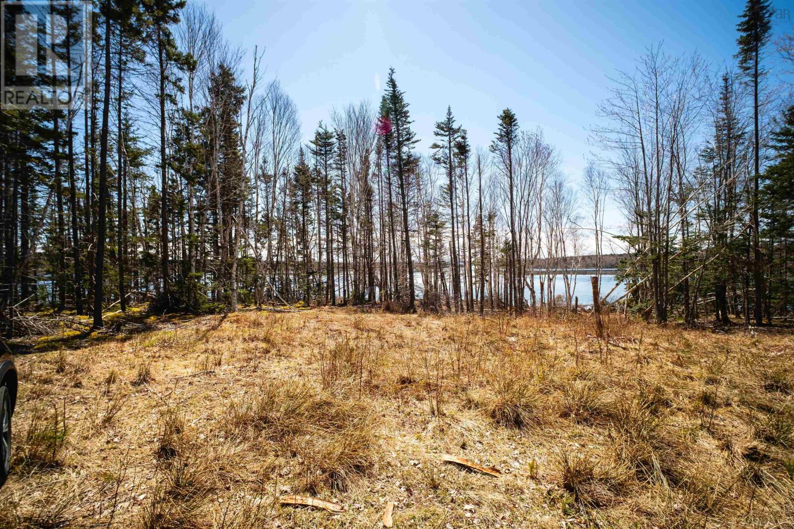 Lot 1e Marble Mountain Road, Malagawatch, Nova Scotia  B0E 2Y0 - Photo 10 - 202511125