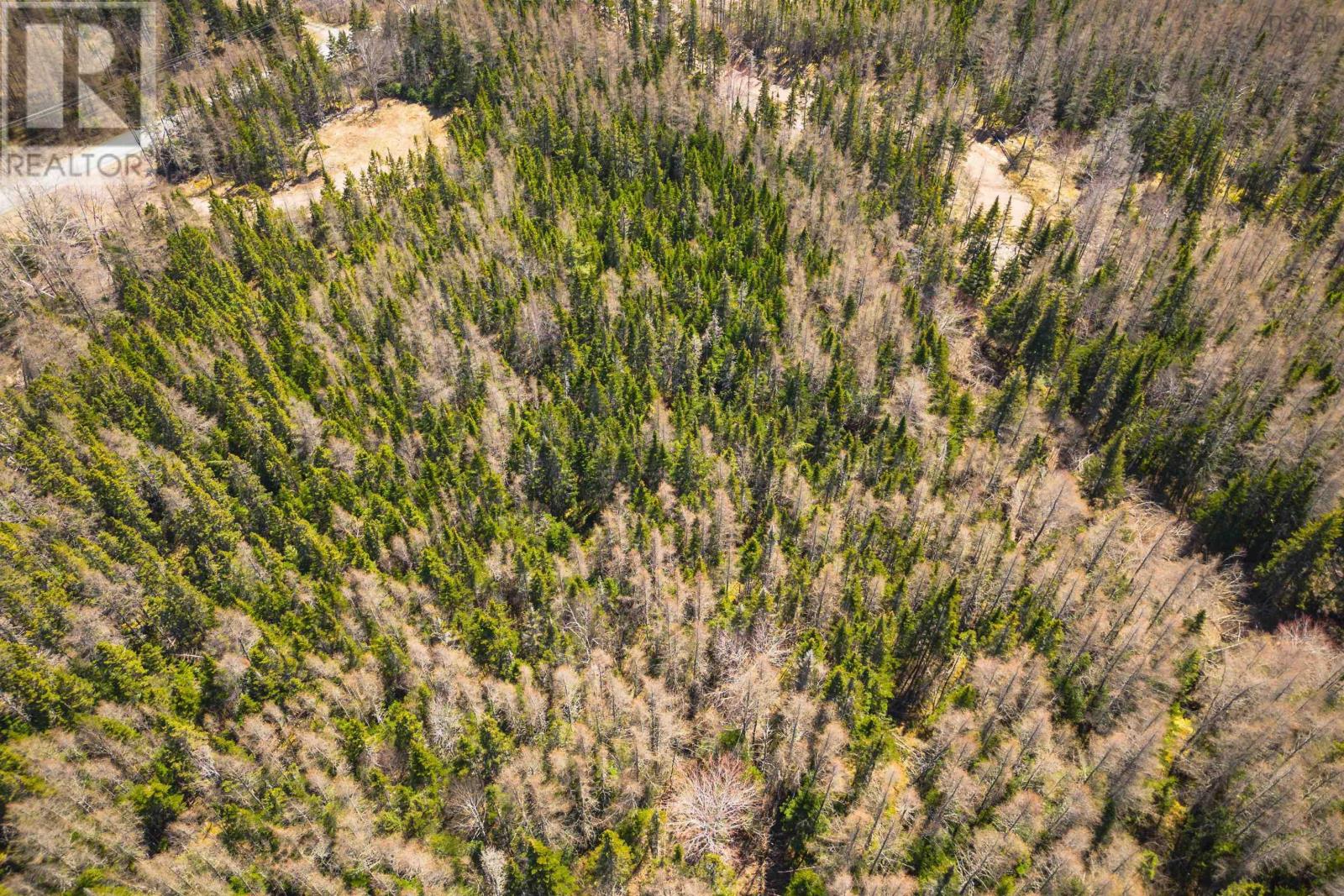 Lot 6 Highway 4, Cleveland, Nova Scotia  B0E 1J0 - Photo 2 - 202511136