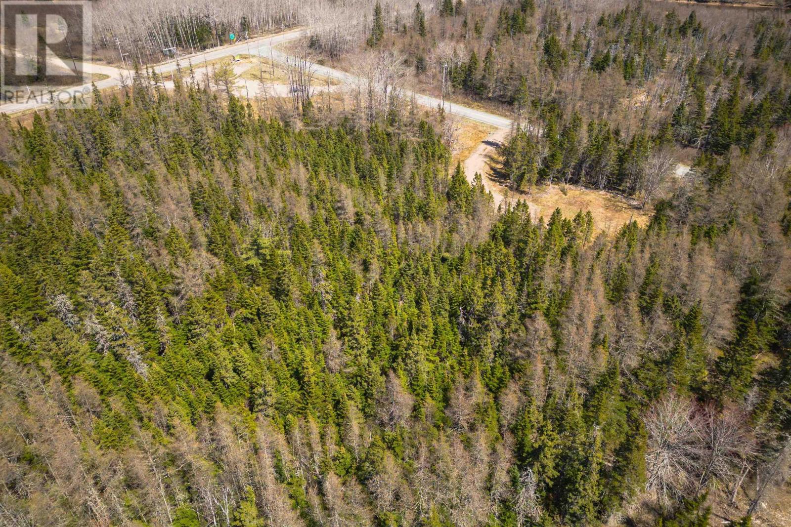 Lot 6 Highway 4, Cleveland, Nova Scotia  B0E 1J0 - Photo 1 - 202511136
