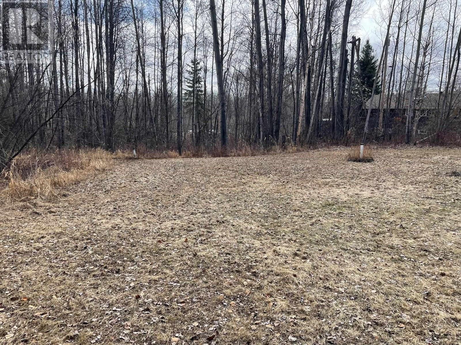 12 Walsh Road, Fort Nelson, British Columbia  V0C 1R0 - Photo 24 - R3003199