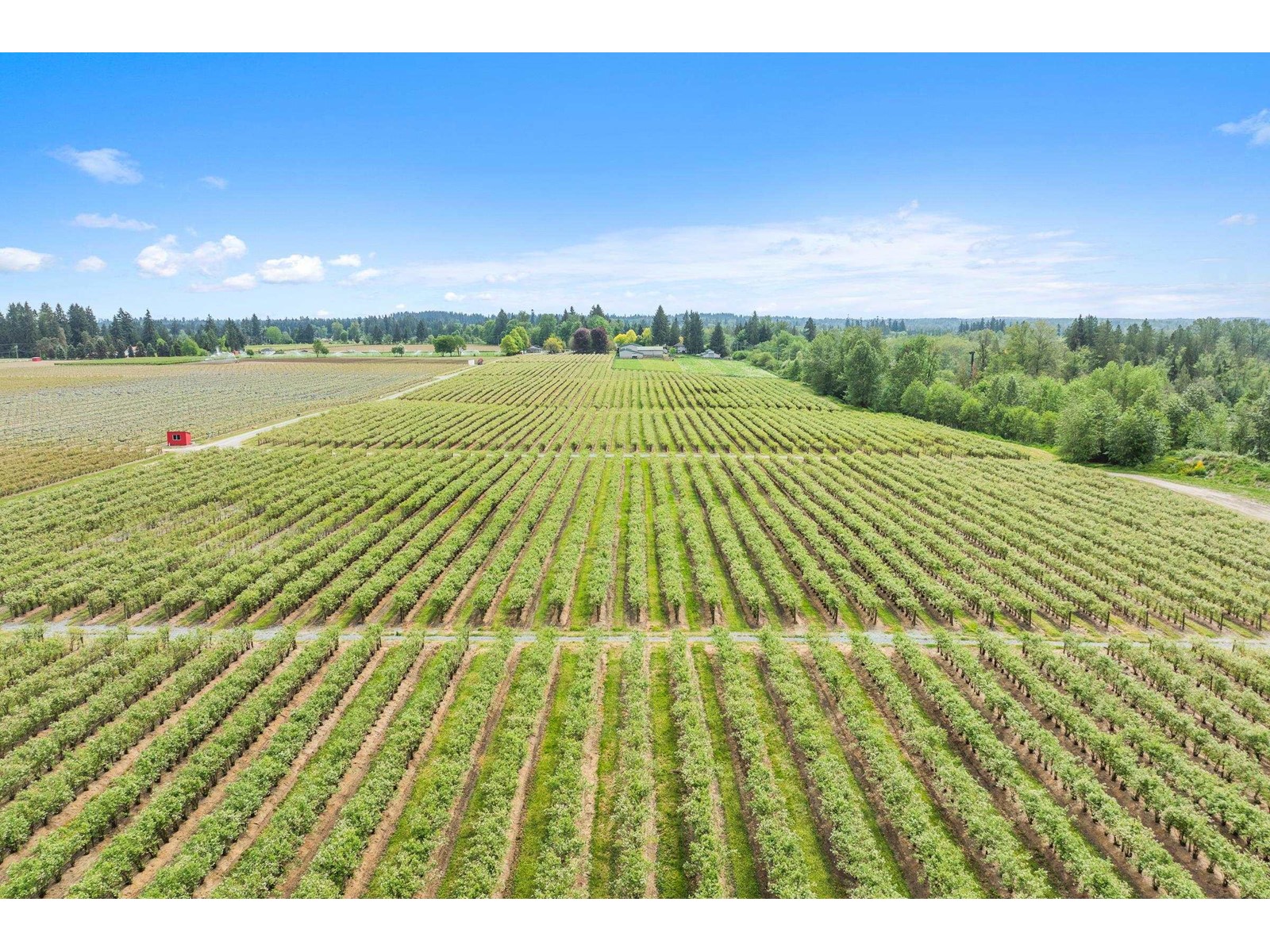 7361 240 Street, Langley, British Columbia  V1M 3P8 - Photo 17 - R3001681