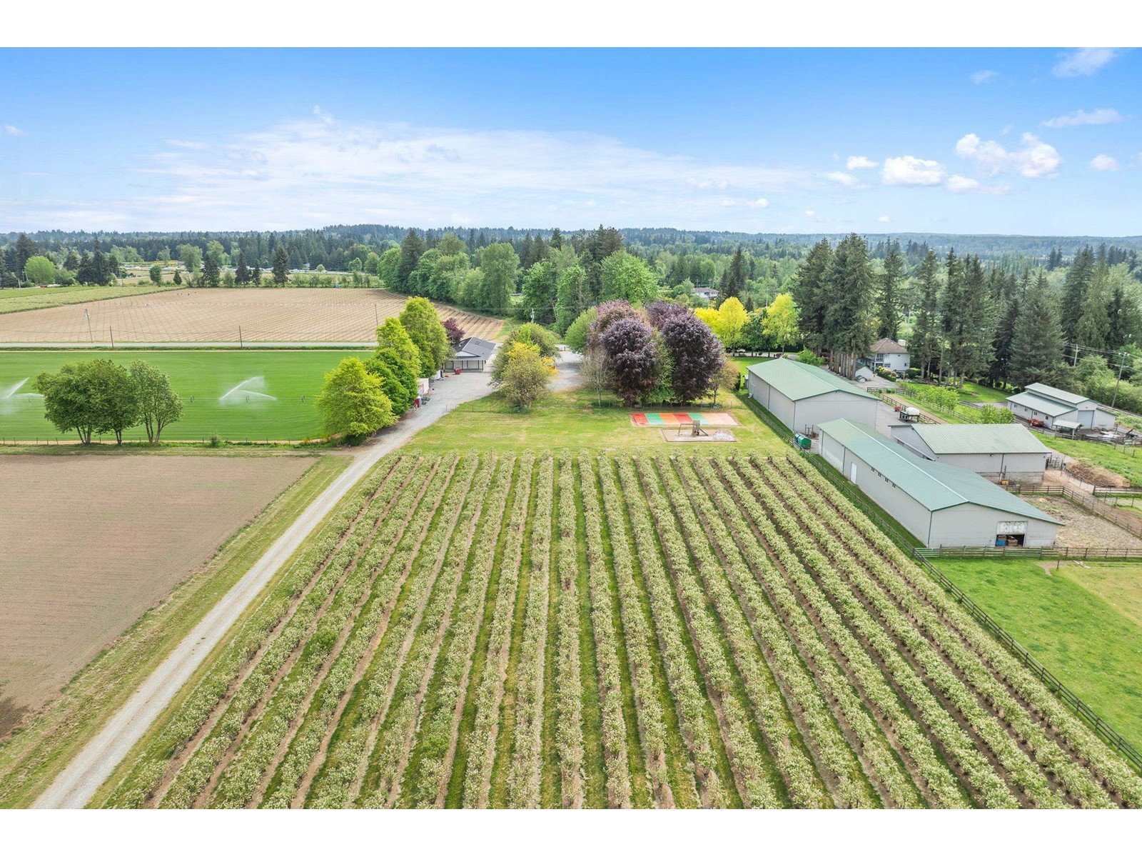 7361 240 Street, Langley, British Columbia  V1M 3P8 - Photo 8 - R3001681