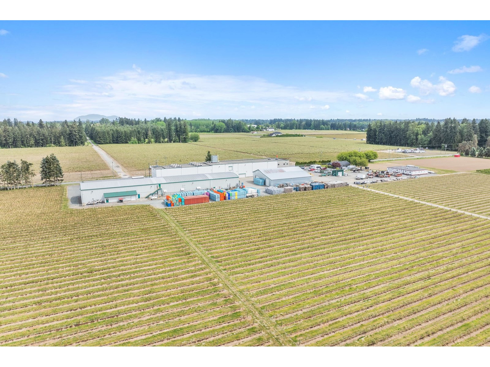 7361 240 Street, Langley, British Columbia  V1M 3P8 - Photo 3 - R3001681