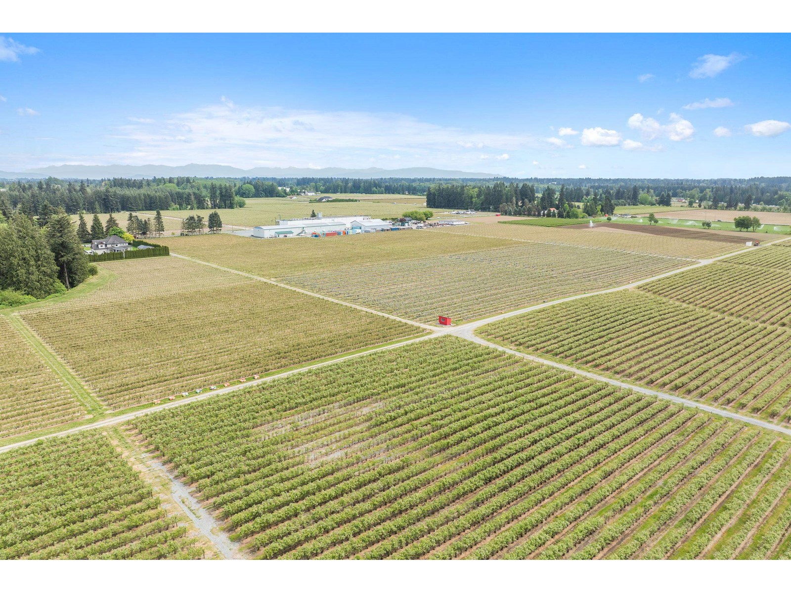 7361 240 Street, Langley, British Columbia  V1M 3P8 - Photo 18 - R3001681