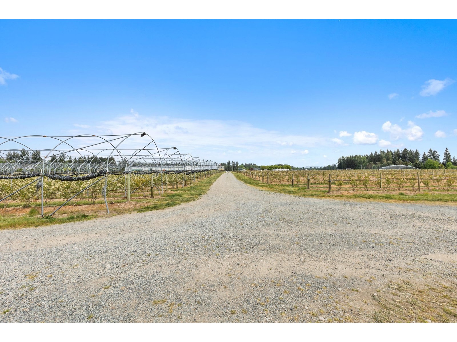 7361 240 Street, Langley, British Columbia  V1M 3P8 - Photo 35 - R3001681
