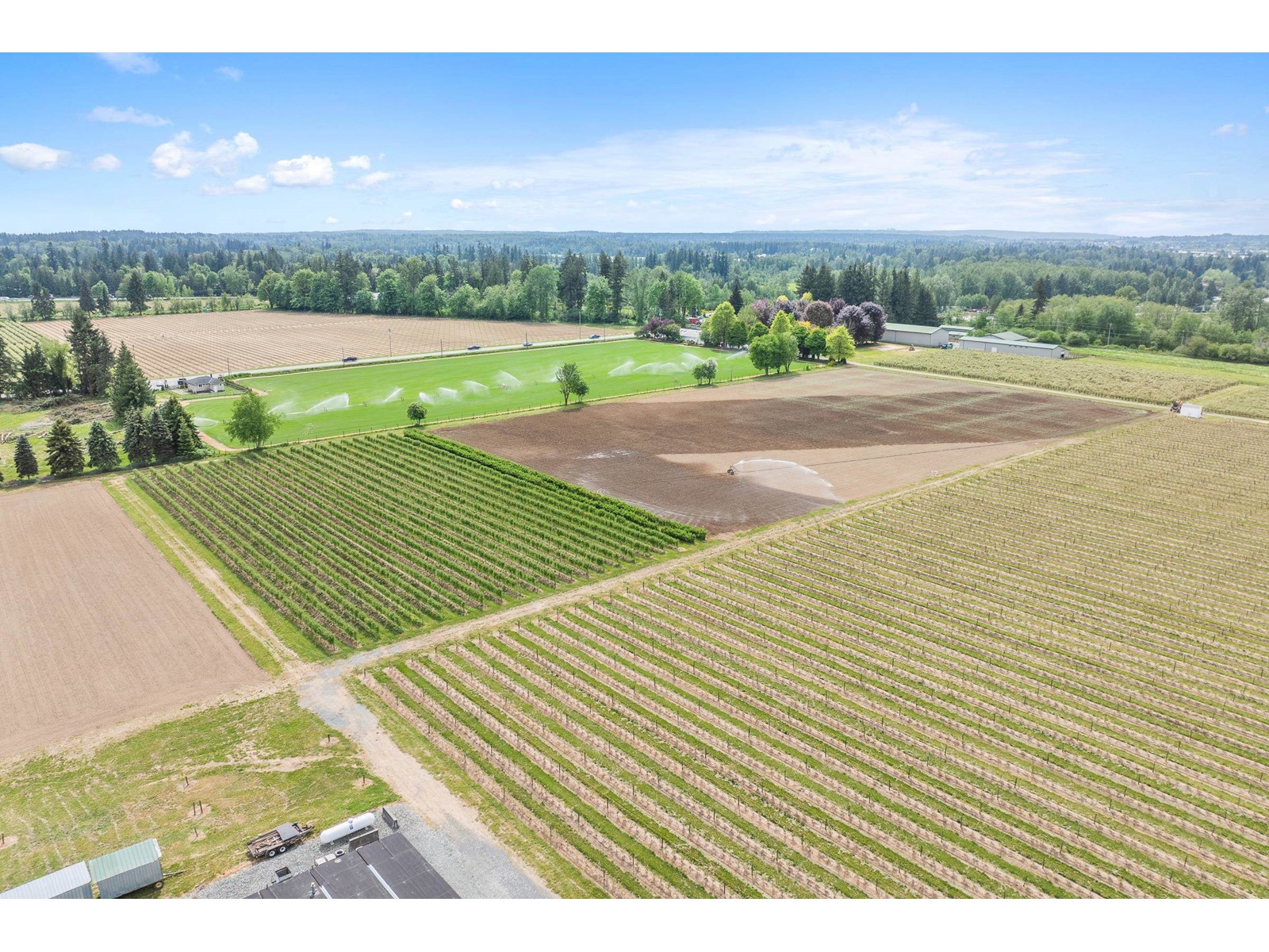 7361 240 Street, Langley, British Columbia  V1M 3P8 - Photo 5 - R3001681