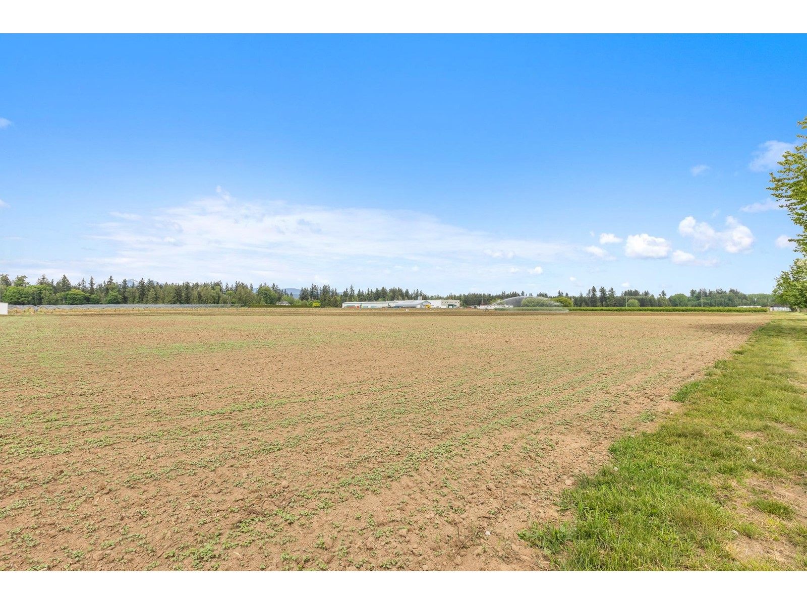 7361 240 Street, Langley, British Columbia  V1M 3P8 - Photo 39 - R3001681